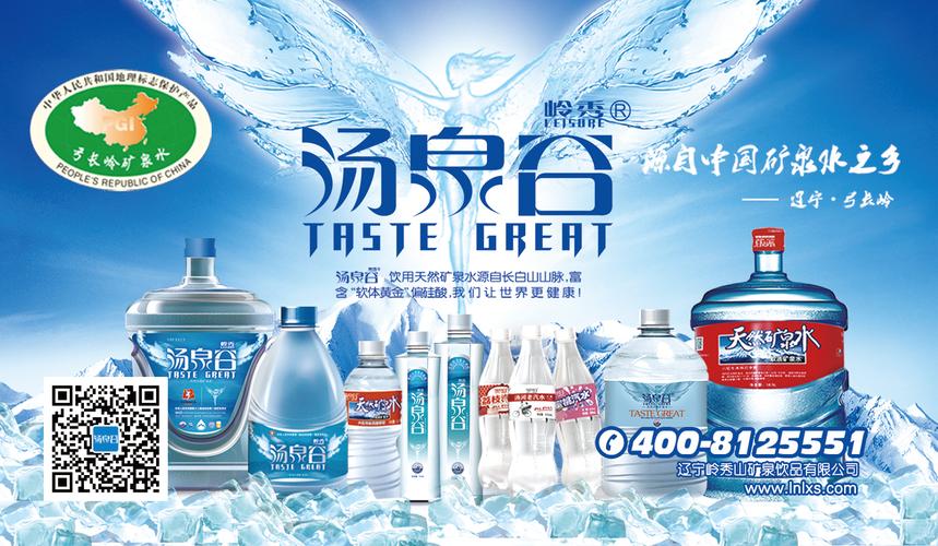 辽宁名牌产品岭秀汤泉谷天然饮用矿泉水参加第十届apec中小企业技术